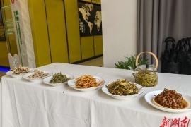 【创业青年在身边】“黄花王子”肖智雄：“90后”新农人玩转黄花菜