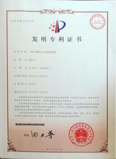 发明专利12