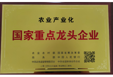 国家重点龙头企业