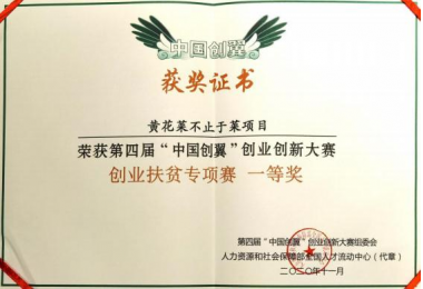 中国创翼获奖证书