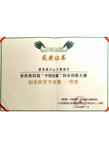 中国创翼获奖证书