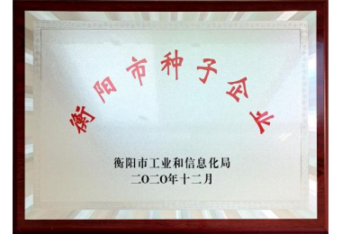 衡阳市种子企业