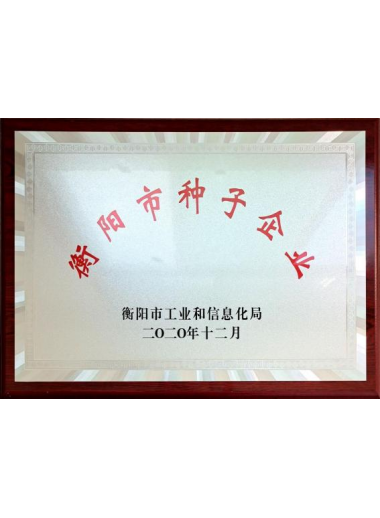 衡阳市种子企业