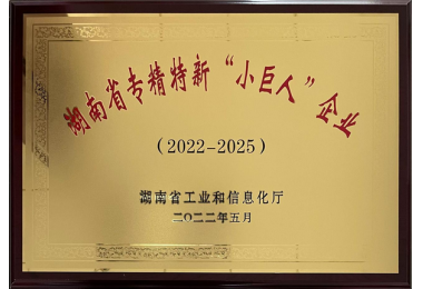 湖南省专精特新“小巨人”企业