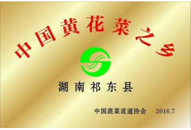 中国黄花菜之乡