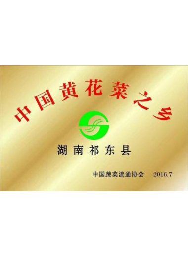 中国黄花菜之乡