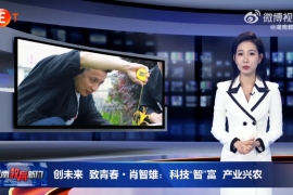 肖智雄：科技“智”富 产业兴农