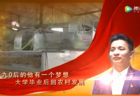 【党建先锋】“黄花王子”的绿色梦想 （上）