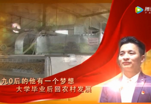 【党建先锋】“黄花王子”的绿色梦想 （上）