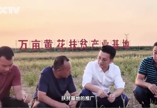 k8凯发(中国)天生赢家·一触即发