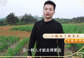 《致富经》 20220502 青春作伴好还乡——小镇来了新青年